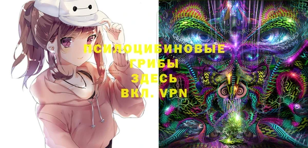 крисы Верея