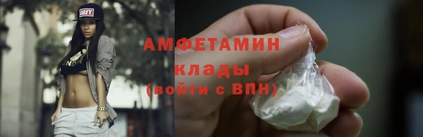 амф Верхний Тагил