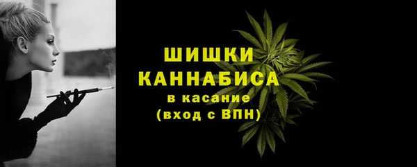 крисы Верея