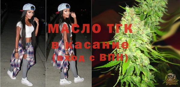 амф Верхний Тагил
