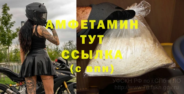 амф Верхний Тагил