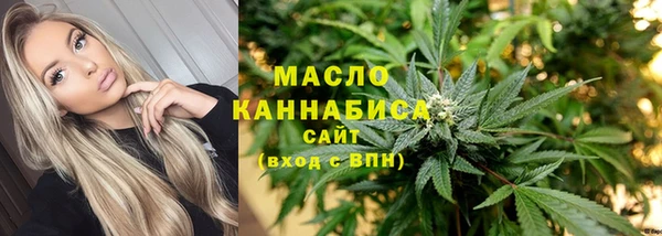 амф Верхний Тагил