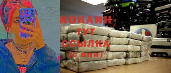 амф Верхний Тагил