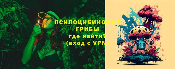 амф Верхний Тагил