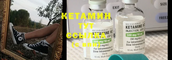 крисы Верея