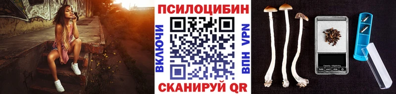 наркотики Новомосковск мориарти как зайти Псилоцибиновые грибы GOLDEN TEACHER